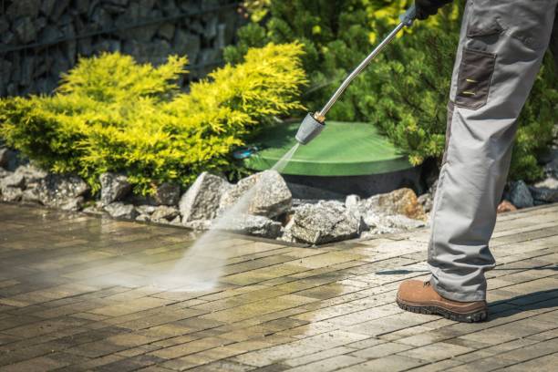 Best Roof Washing  in Dunkirk, IN